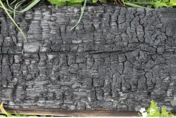 Burned Wood